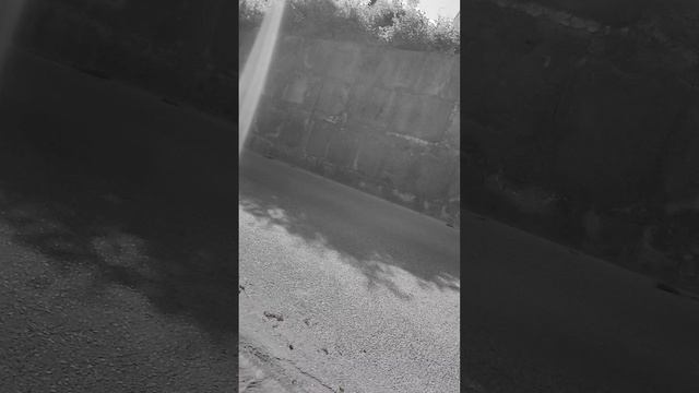 17-05-2025 Туапсе калараша