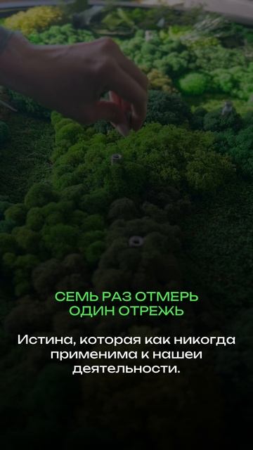 Логотип со мхом