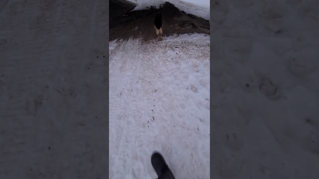 Всё меня знают кроме своих 🫣🫣🫣