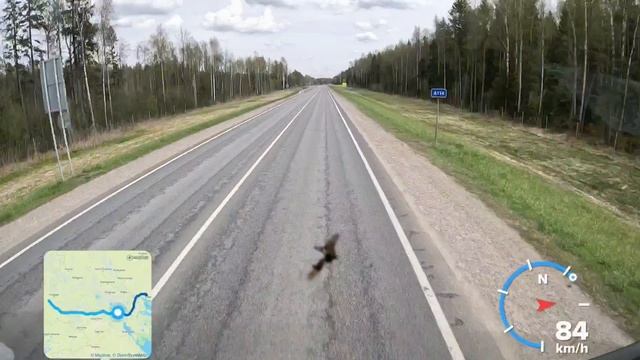 Дорога А-114 Сазоново-Череповец