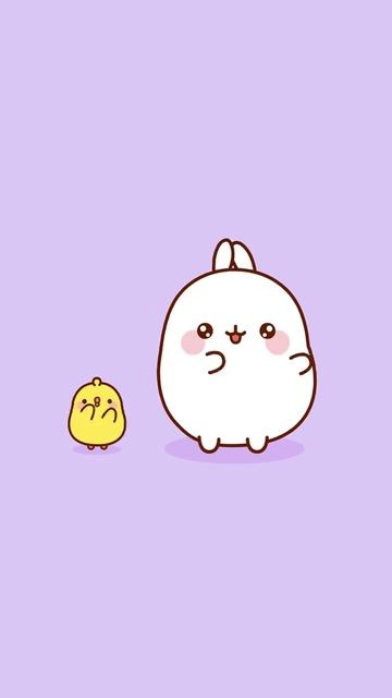 Bunny  & Chick 🐇🐥