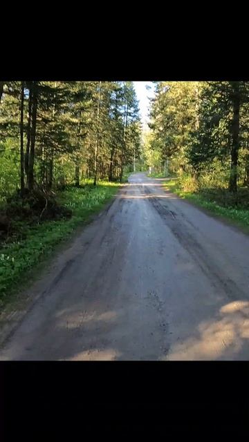 Тайга - мой зритель.