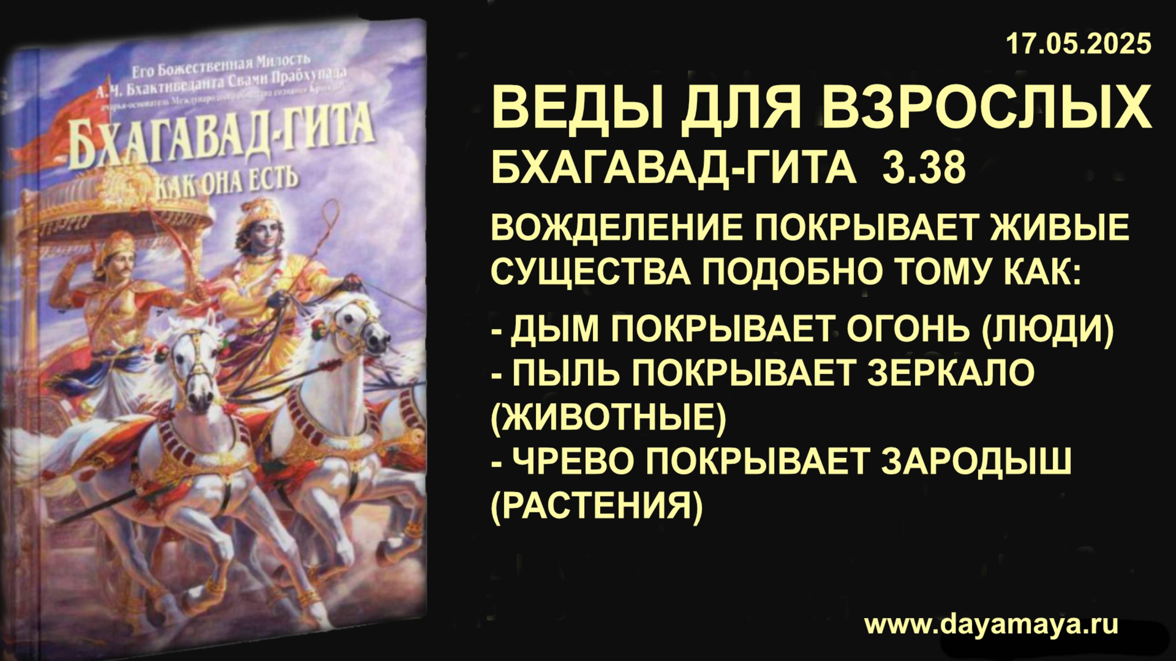 Веды для взрослых. Бхагавад-гита 3.38