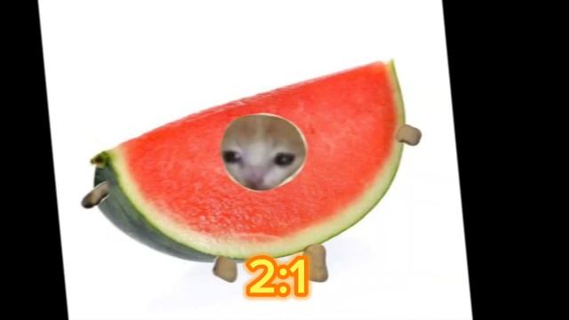 7 сентября 2023 г.