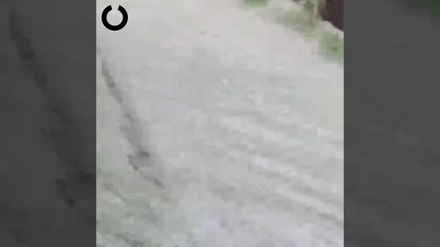 Потоп в Сочи