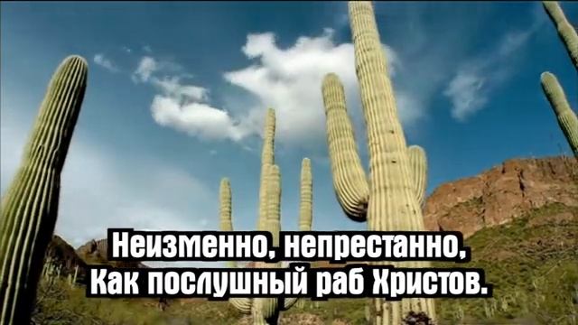 За Тобой о мой Спаситель # христианская песня