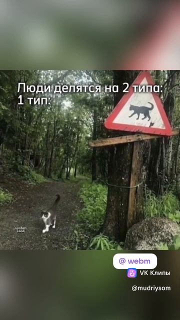 люди делятся на два типа