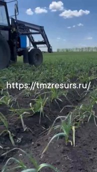 Пальчиковый культиватор для чеснока ТМЗ РЕСУРС. https://tmzresurs.ru/
