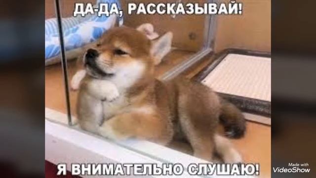 Обязательно посматрите до конца оно очень смешное
