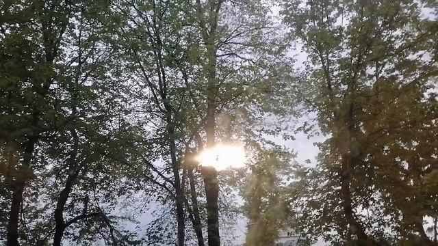 Хмурно и темно время года