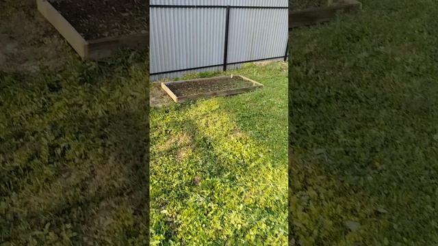 VID_20250517_182230.mp4