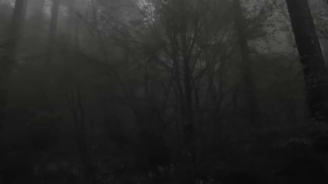 ТАЙНА УРАНОВОГО РУДНИКА ВОСТОК-2. Страшные истории на ночь. Мистика