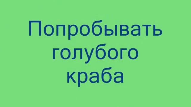 Медовая неделя в Турции