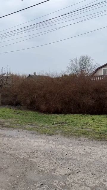 Прогулка в спокойный дождливый день 😊