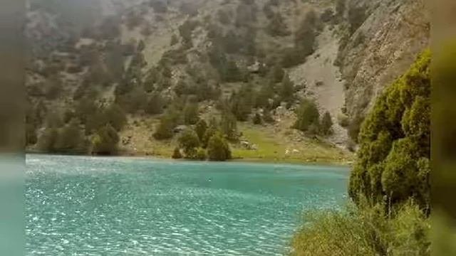 Дараи уреч