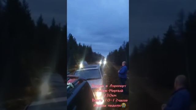1000104629.mp4