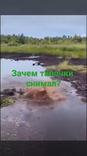 Зачем тапочки снимал ?