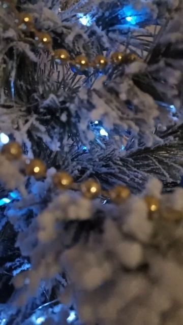 Christmas mood