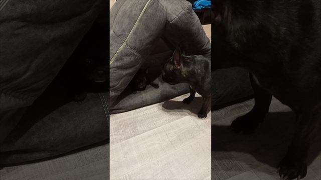 1000028143.mp4