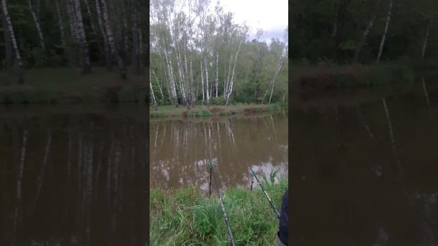 рыбалка