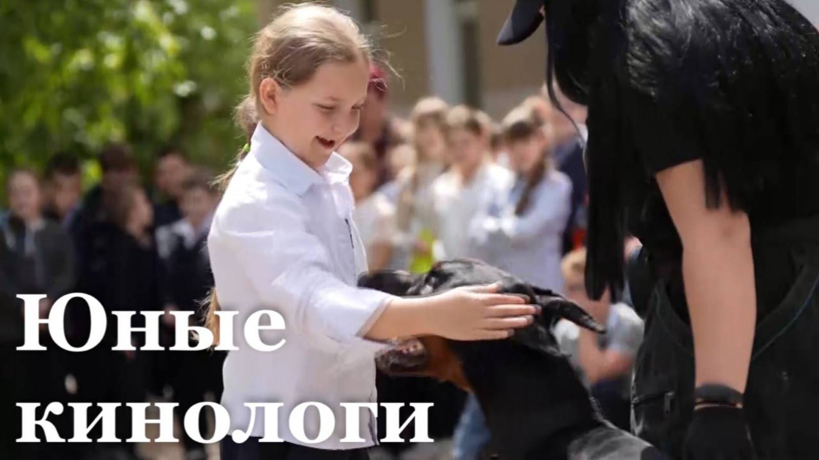 Кинологи организации "Дубки" продемонстрировали выступления собак для школьников