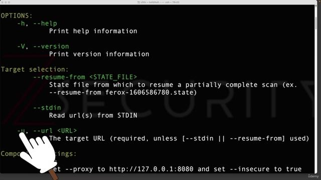 1. Discovering Endpoints & Sensitive Data