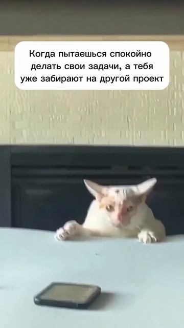 Хорошего вам настроения!