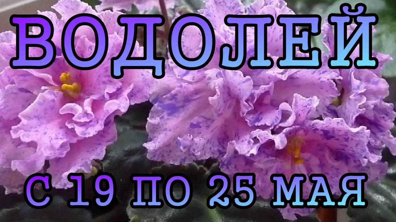 ВОДОЛЕЙ таро прогноз на неделю с 19 по 25 МАЯ 2025 года.