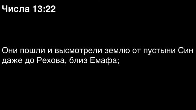 Числа, глава 13