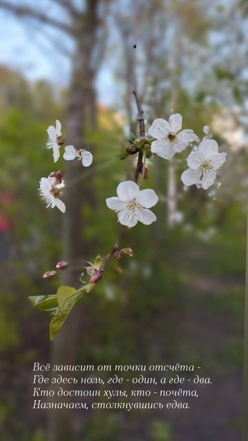 16.05.25 АЗ #ниднябезрифмы