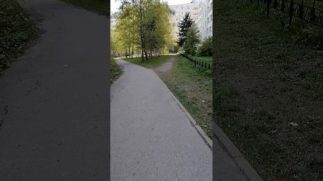 по Невскому району гульки у парка Есенина АСМР