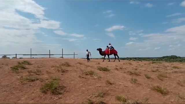 Первый раз катаюсь на верблюде😂 Астраханская область, июль 2024