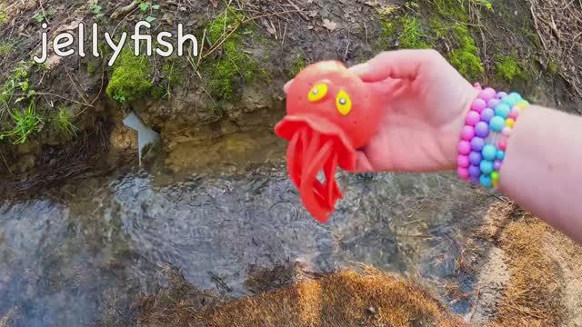 Учите названия морских животных для самых маленьких детей у ручья Медуза Рыба-фугу, Большая Белая ак