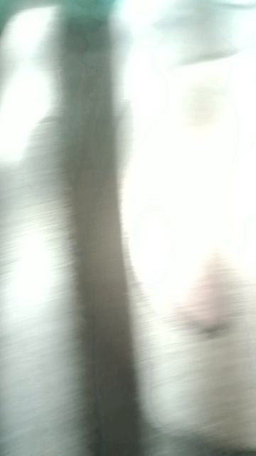 1000005356.mp4