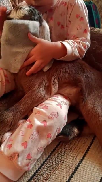 КОГДА В СЕМЬЕ  ТЫ САМЫЙ МЛАДШИЙ 😂👶 #short