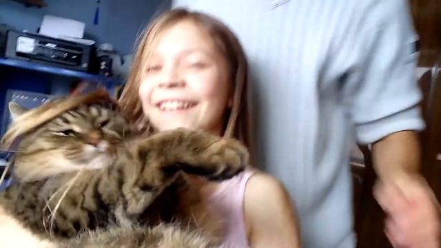 Приколы с котами. Модный кот Жулик. Стильная прическа у кота.