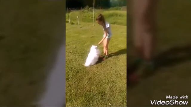 Мини выступление с Филей