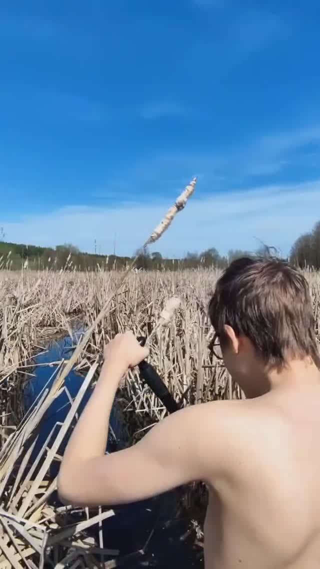Ольховый ручей на САПе