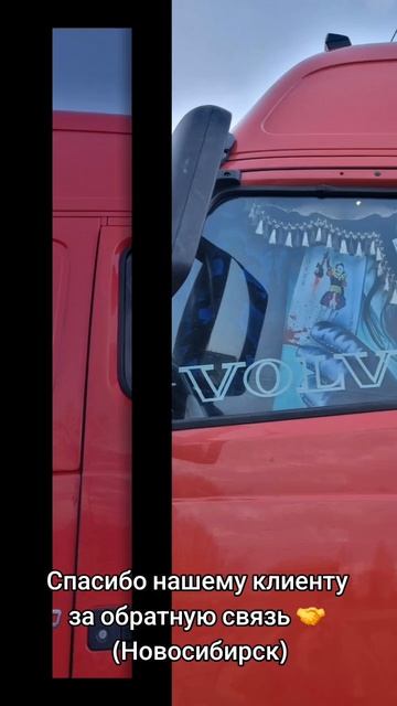 Автошторы на грузовые авто (ламбрекены,спальники,ночники)