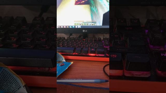 1000000462.mp4
