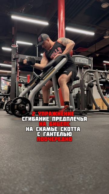 ГРУДЬ+БИЦЕПС