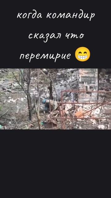 точное попадание по хохлу