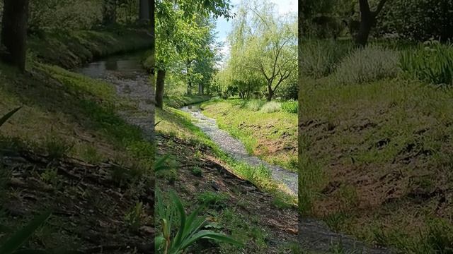 Парк и весна