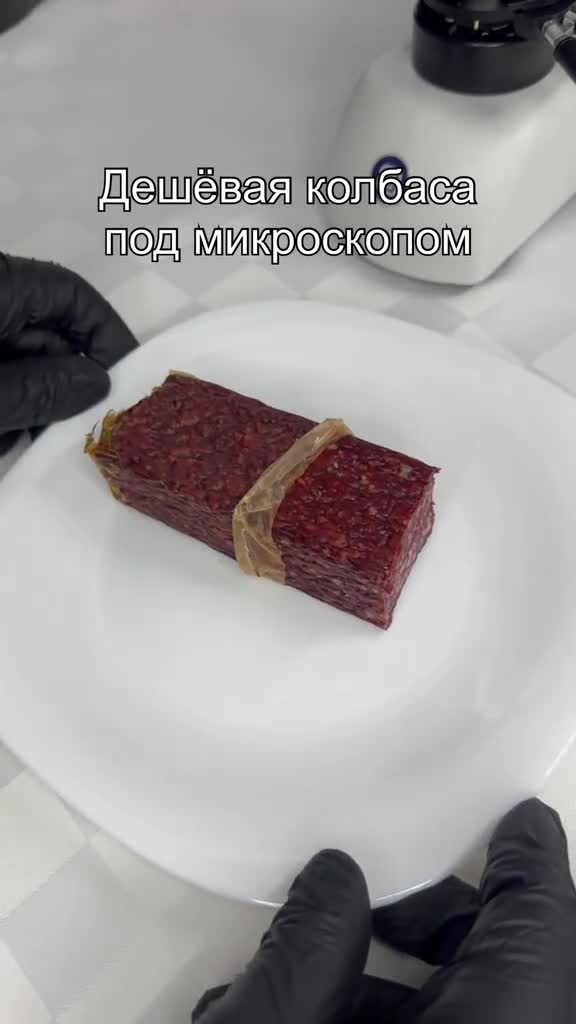 #наука #микромир #микроскоп #интересно #подмикроскопом