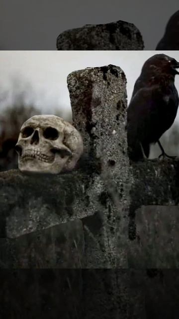 ...💀....