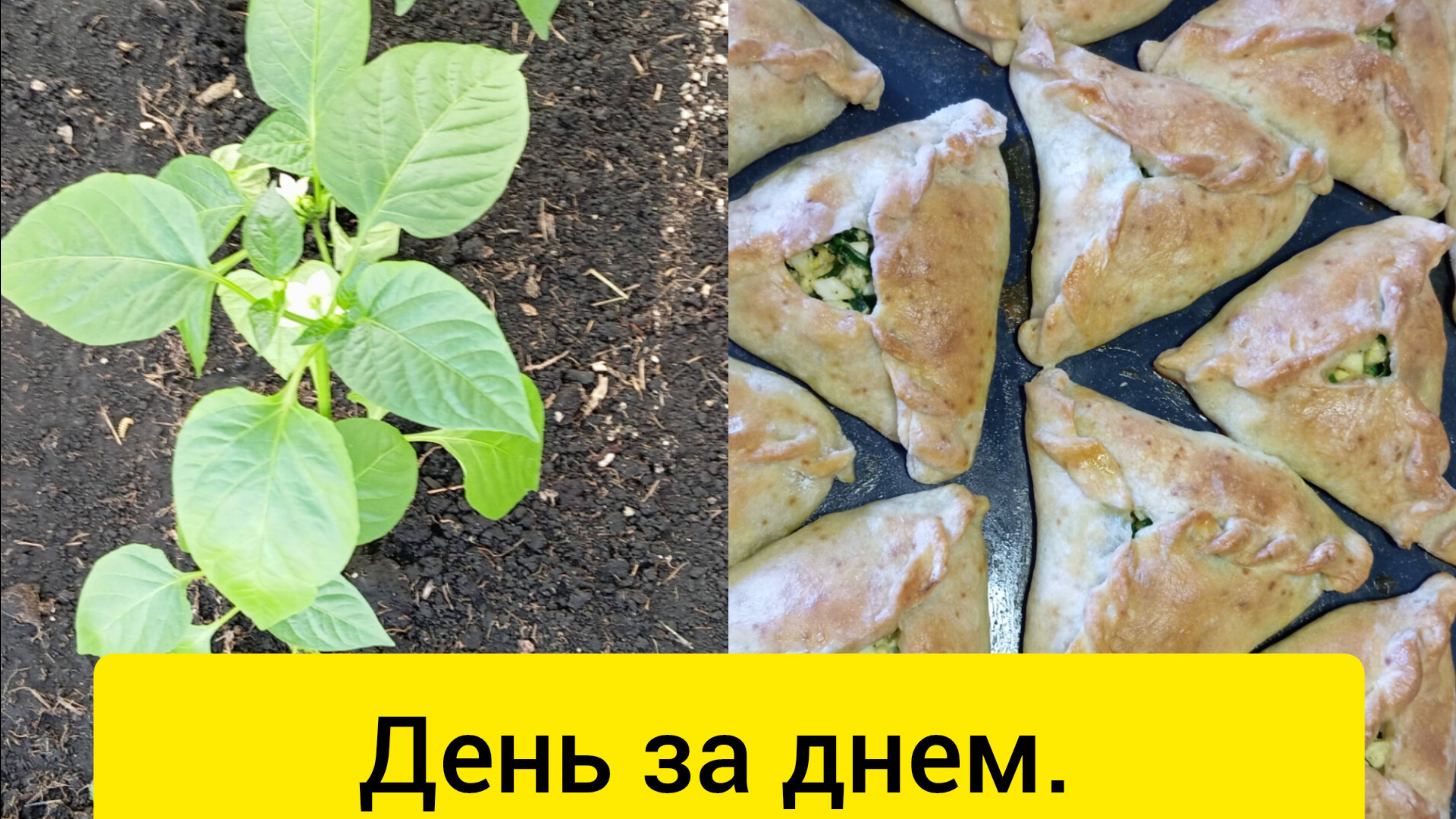 День за днём. Дело за делом. Так и проходит жизнь.