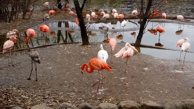 20181110_123618