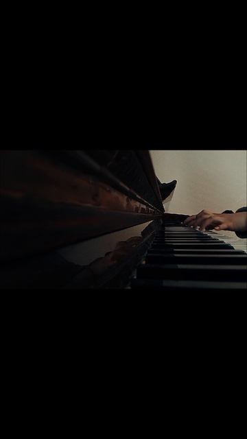Fly. Ludovico Einaudi.