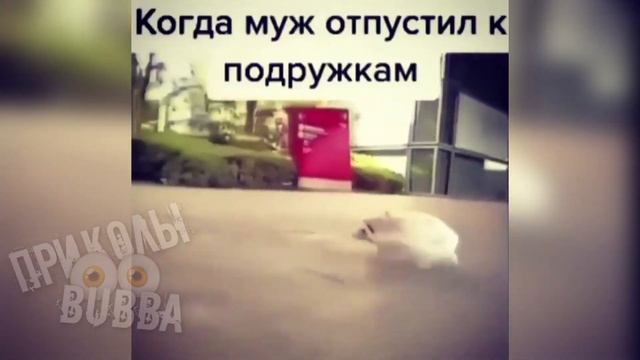 🙃 Когда Муж Отпустил к Подружкам ↓↓↓ приколы 2020