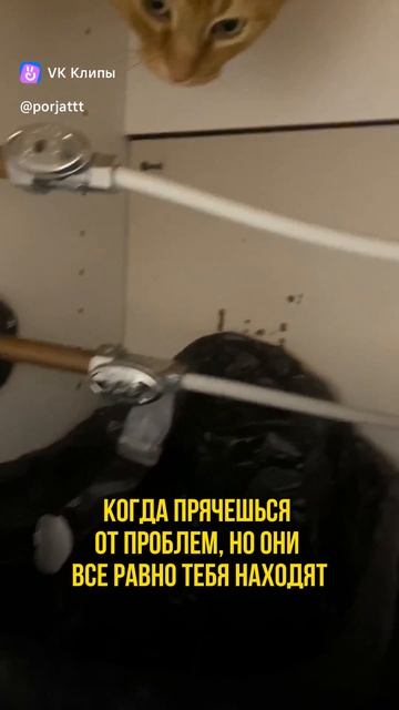 застрял 🤣